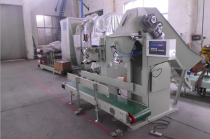 China Factory Belt Feeding Pebble Charcoal Wood Pellet Weighing Packaging Machine